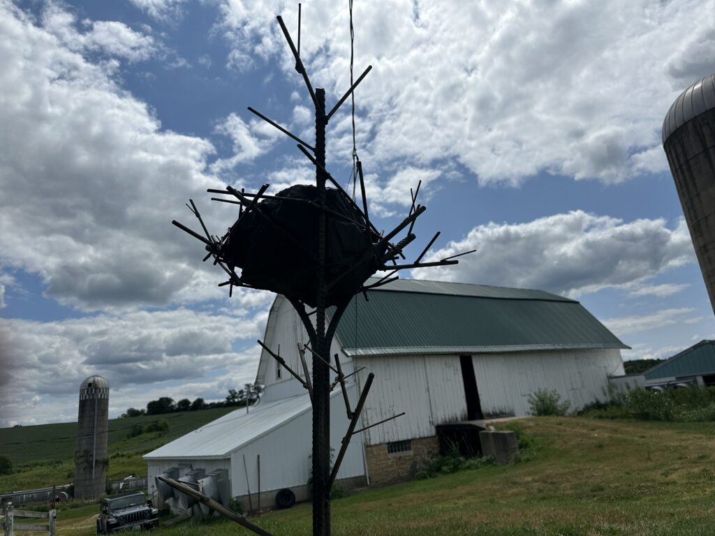Eagle's Nest Birdbath